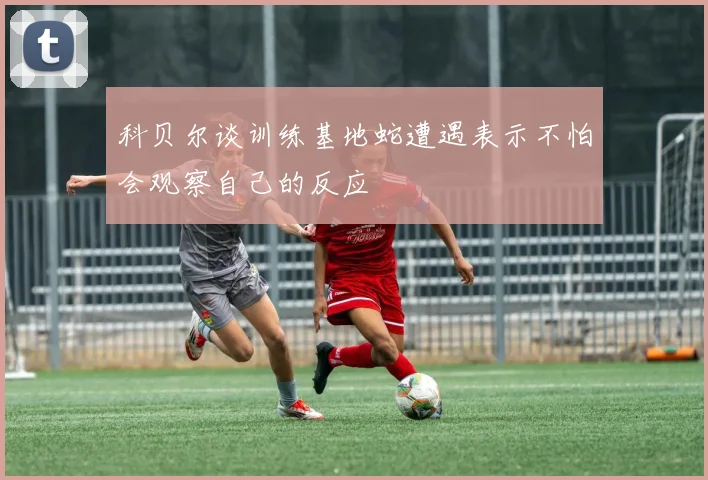 科贝尔谈训练基地蛇遭遇表示不怕会观察自己的反应