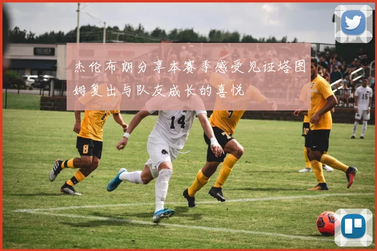 杰伦布朗分享本赛季感受见证塔图姆复出与队友成长的喜悦